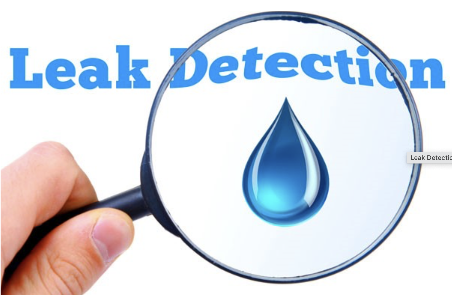 Course Image Leak Detection